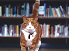 Domino proved hugely popular with children who visited the Heath library in Hampstead