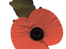 Poppy