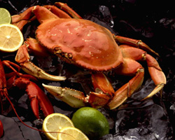 Tabbouleh with fresh crab