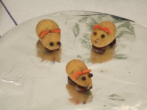 Potato Mice