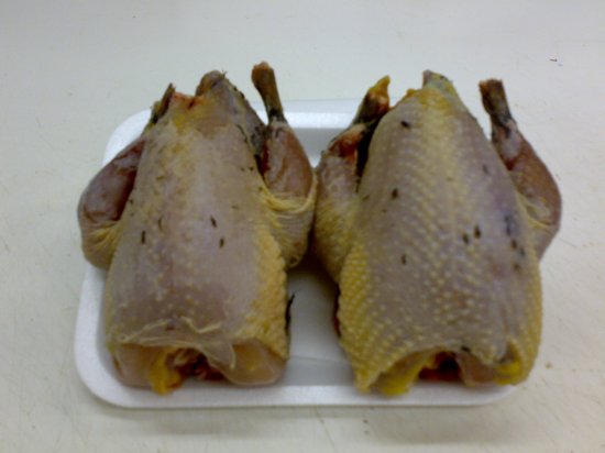 Partridge