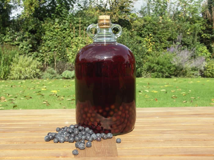 Sloe Gin