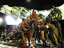 War Horse