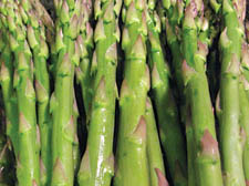 A bunch of asparagus